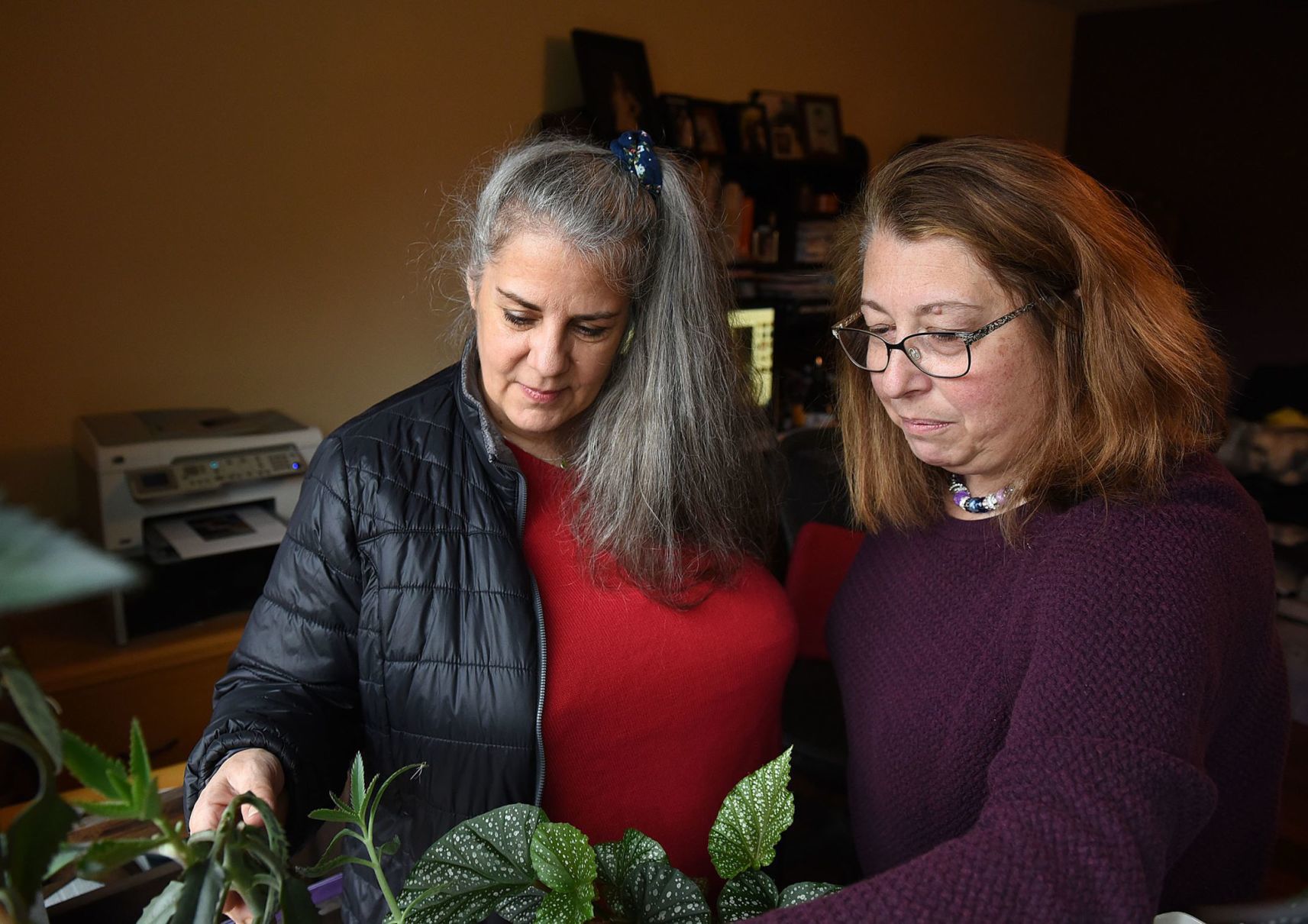 Mothers talk about plants